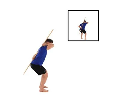 Daily back and core exercise routine