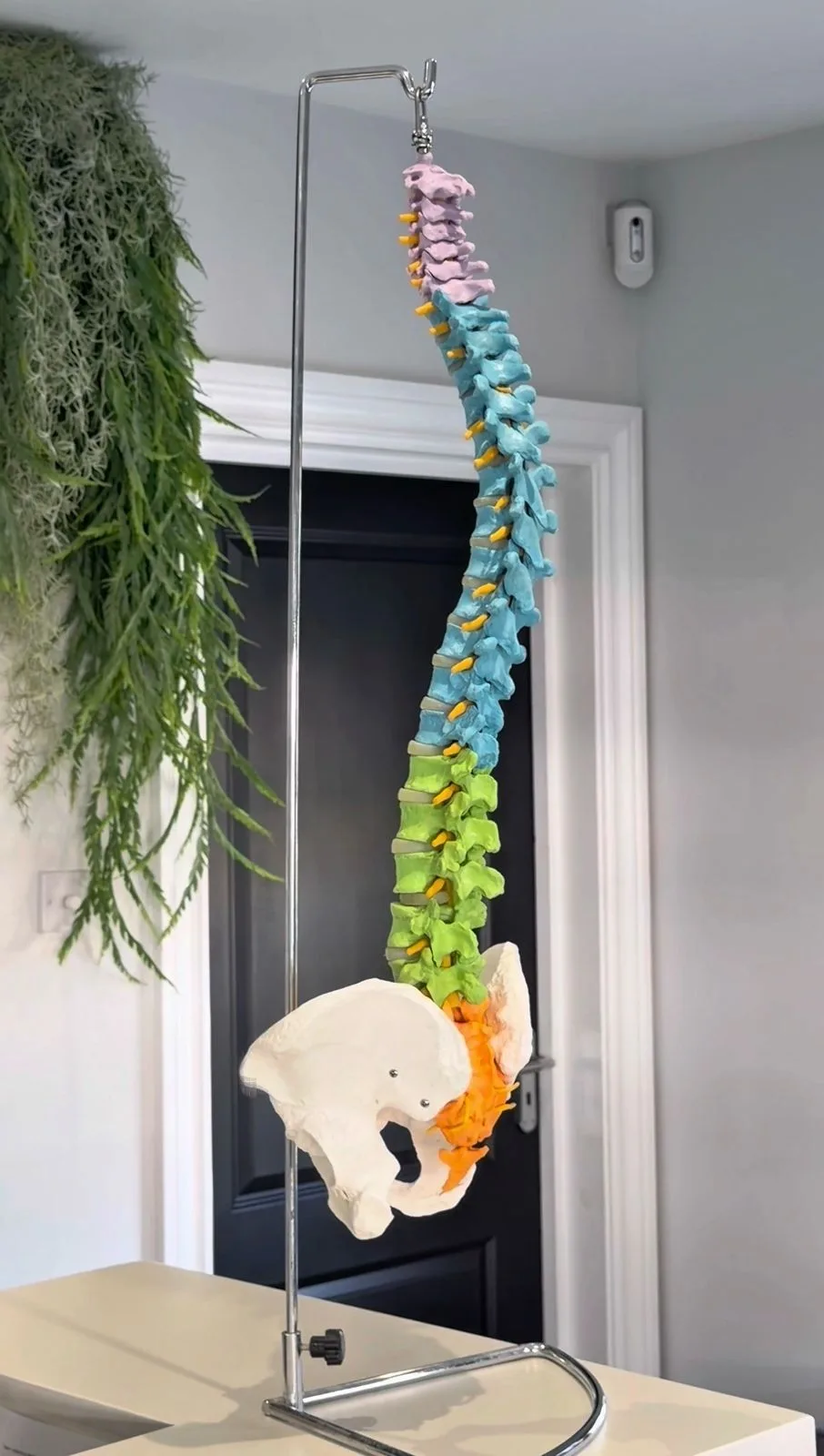 Spine Plus Gidea Park Interior 3